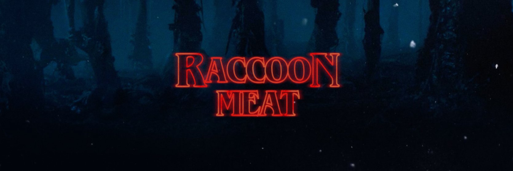 RacoonMeat's profile banner image