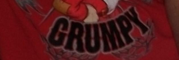 1 Grumpy old Witch banner