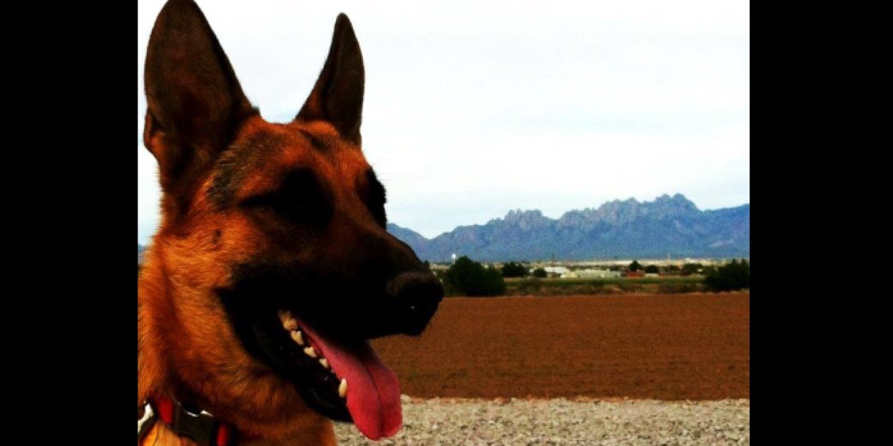 Tomi7_C's profile banner image