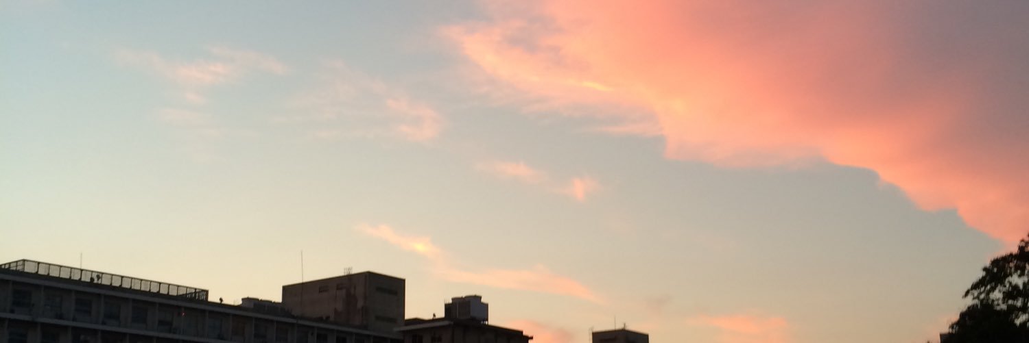 ぼこ banner