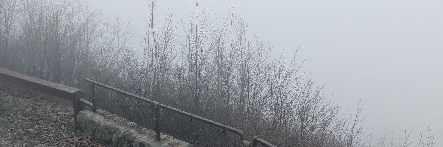 JbJericho's profile banner image