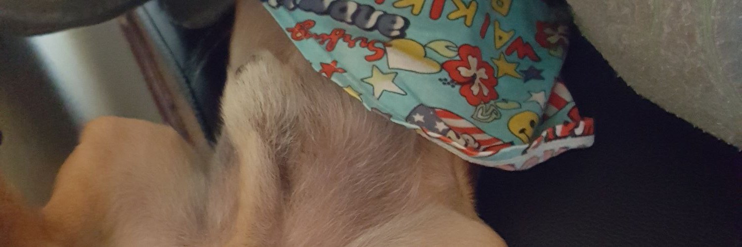 agein_h's profile banner image