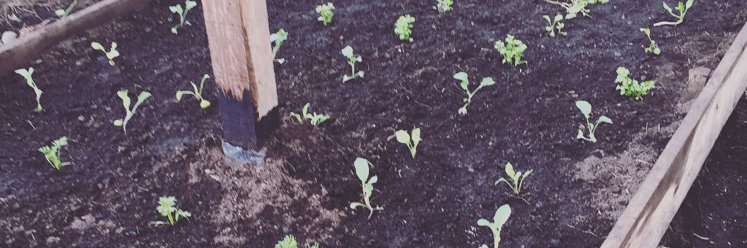 Variel Sánchez banner