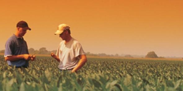 Farming4RFuture's profile banner image
