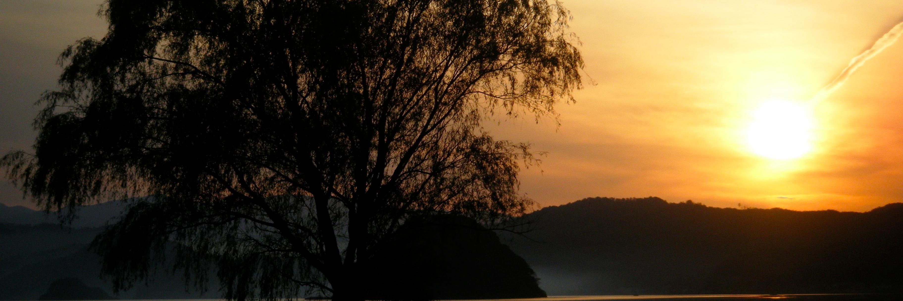 habitandbio's profile banner image