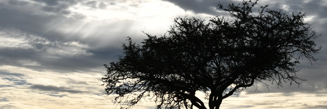 Ottorocks's profile banner image