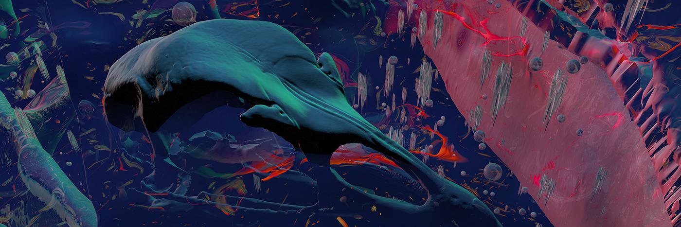 MoasCollective's profile banner image