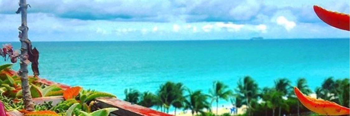 BetsyAlvarez's profile banner image