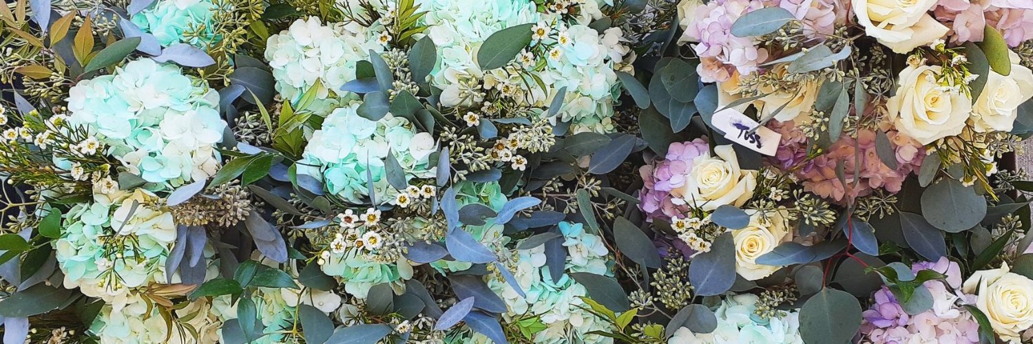 CheyNiels's profile banner image