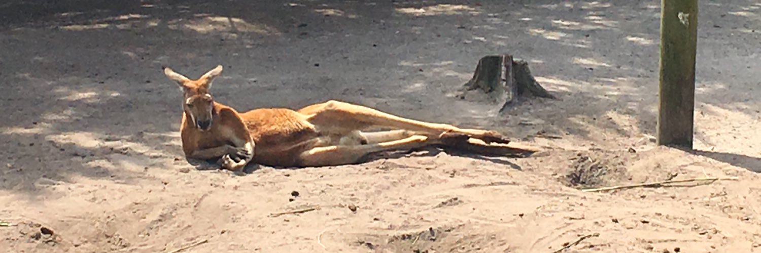 Llamama910's profile banner image