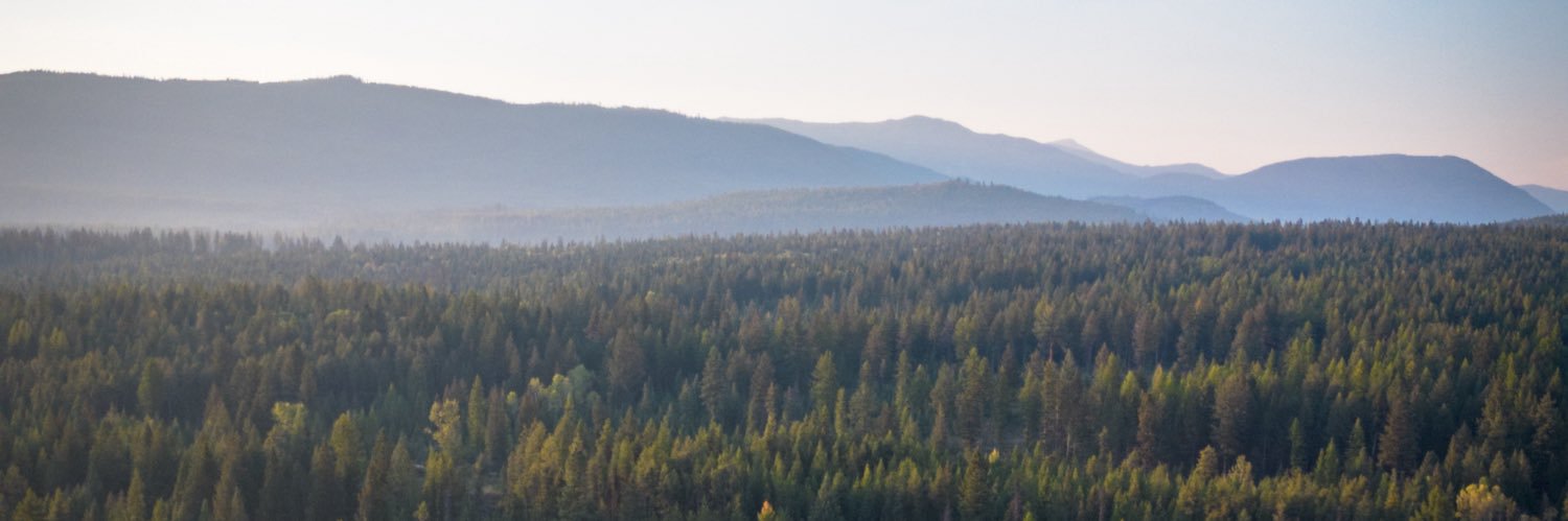 LiamFroment's profile banner image