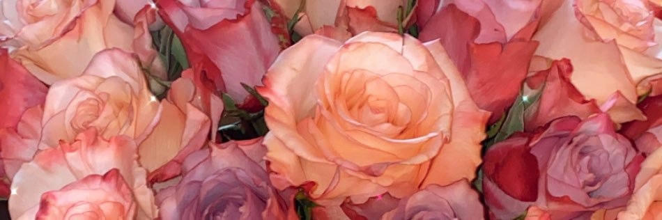 SandyyCarolina's profile banner image