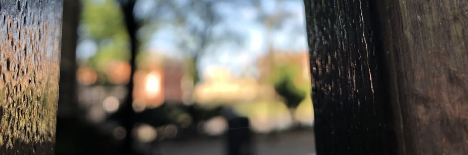 Steph Ketterl (she/her) banner