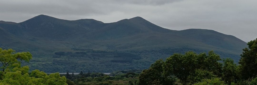 cormacnyhan's profile banner image
