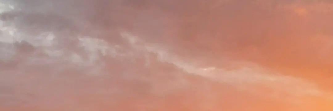 bianollearo's profile banner image