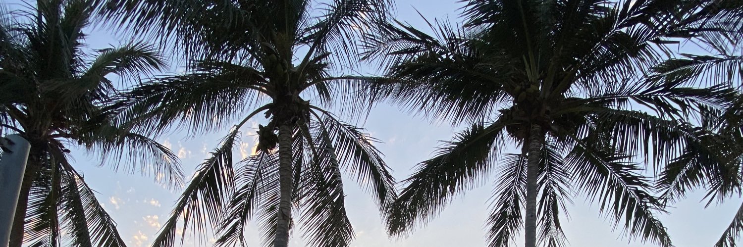 moula85's profile banner image