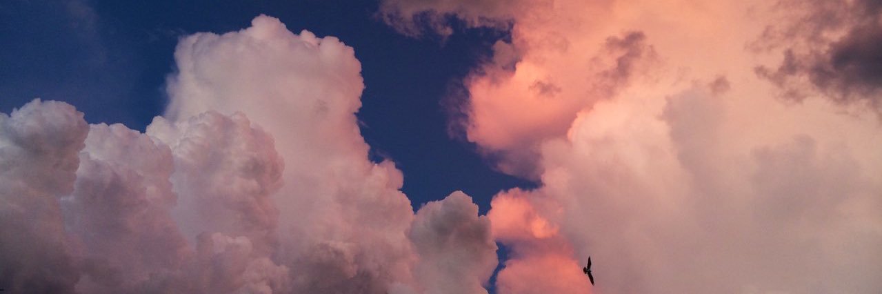 bb_eevee's profile banner image