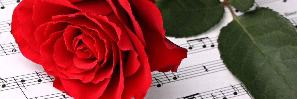 aimeelynn___'s profile banner image