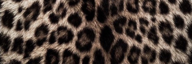 allthingsboujee's profile banner image
