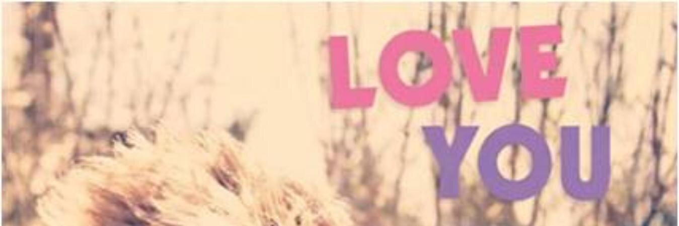 Wizzy_Doolitle's profile banner image