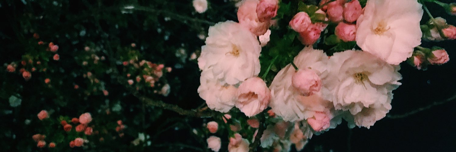 Nmn0905's profile banner image
