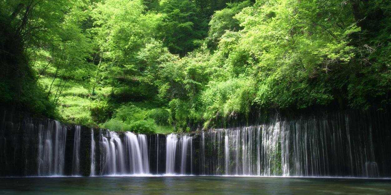 Save the Planet banner