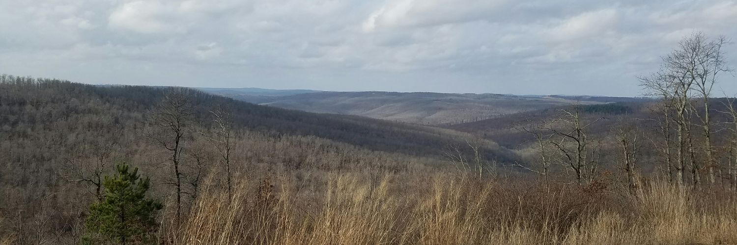 sumdawg's profile banner image