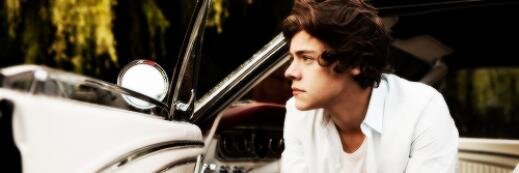 HarryStylesH1D's profile banner image