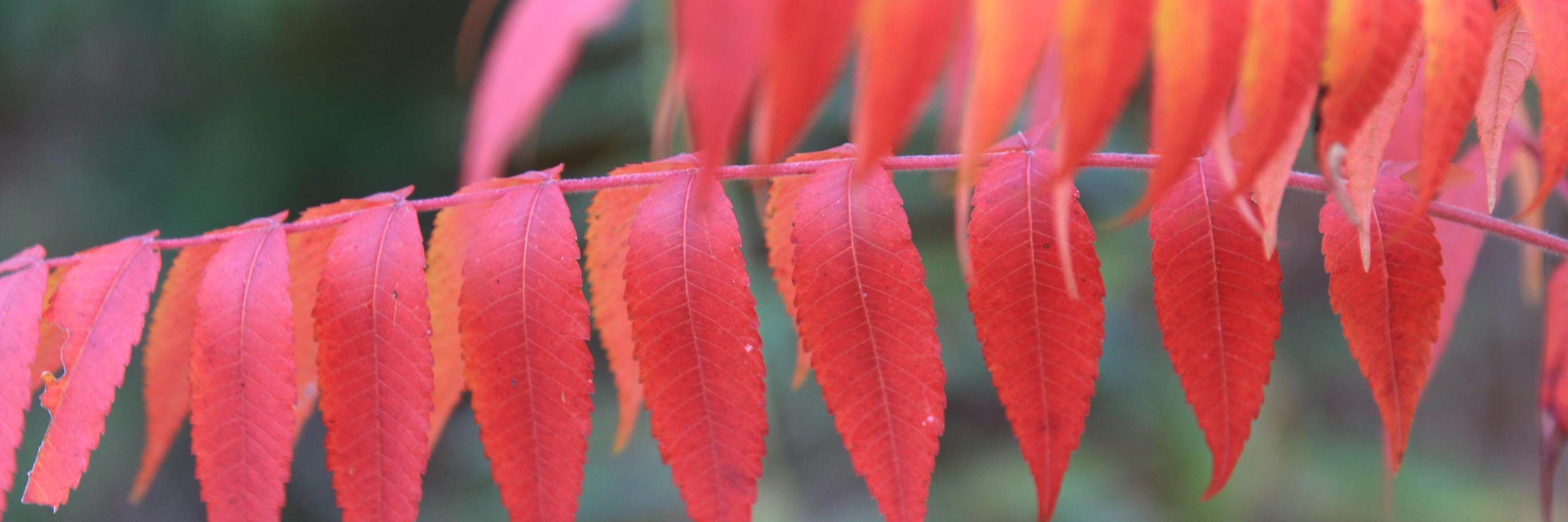 suttonpsfolk's profile banner image