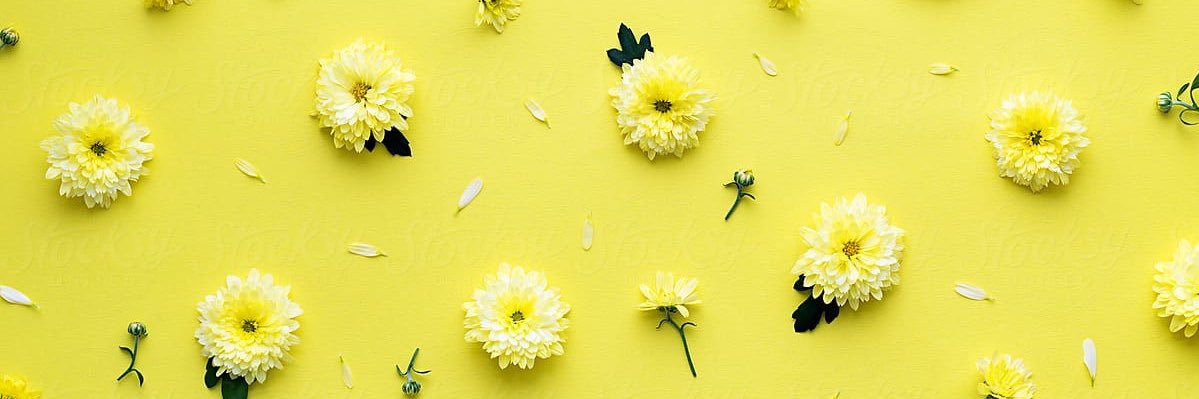 Miaamadden's profile banner image