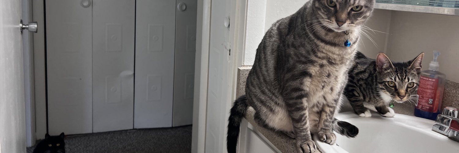 leannyll01's profile banner image