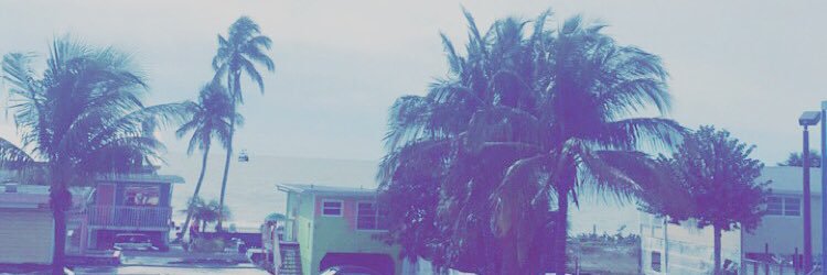 KaylynFischer's profile banner image