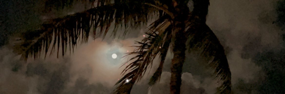 LilCasssh's profile banner image