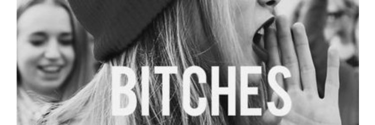 CatsLurvs's profile banner image