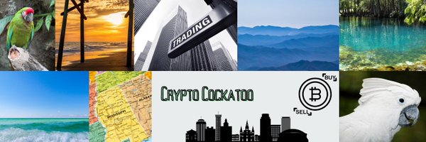 Cryptocockatooo Profile Banner