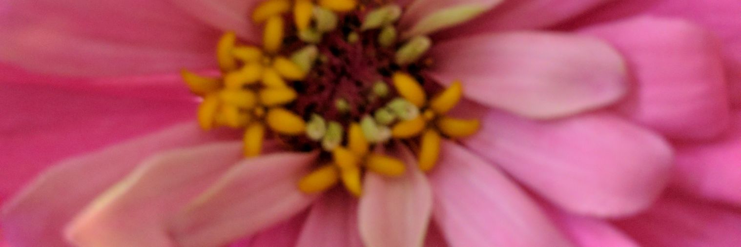 RuthBelen's profile banner image