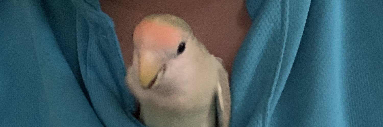 whitebird0125's profile banner image