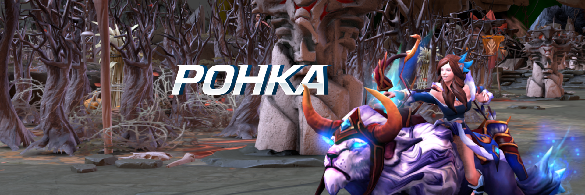 PohkaDota's profile banner image