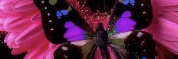 msmisty07's profile banner image