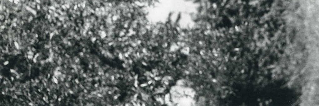 YourInsanee's profile banner image