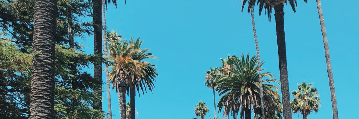 jsarez's profile banner image