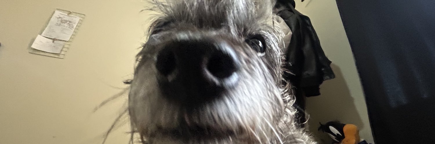 samarinha do poço banner