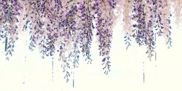 bethtallach's profile banner image