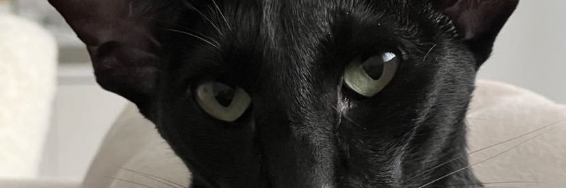 min_xho's profile banner image