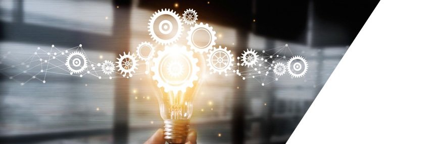 Theresa Kushner banner