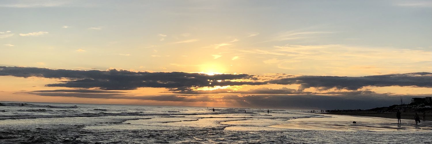 emiestergaard_'s profile banner image
