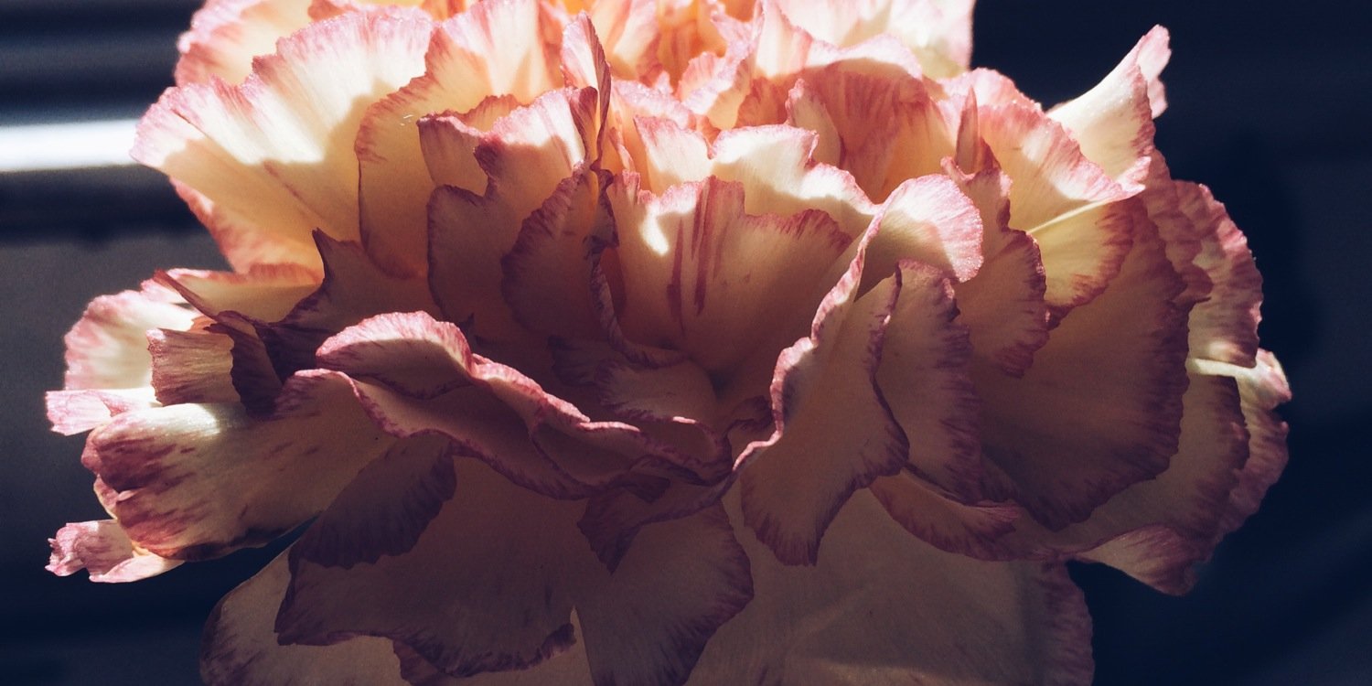 03teelz's profile banner image