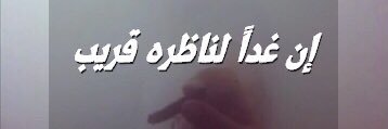 hamedhs8's profile banner image