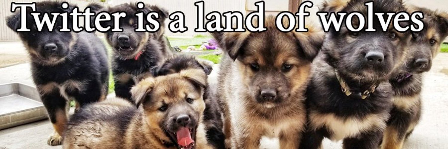 KSLawWolf's profile banner image