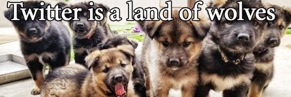 KSLawWolf Profile Banner